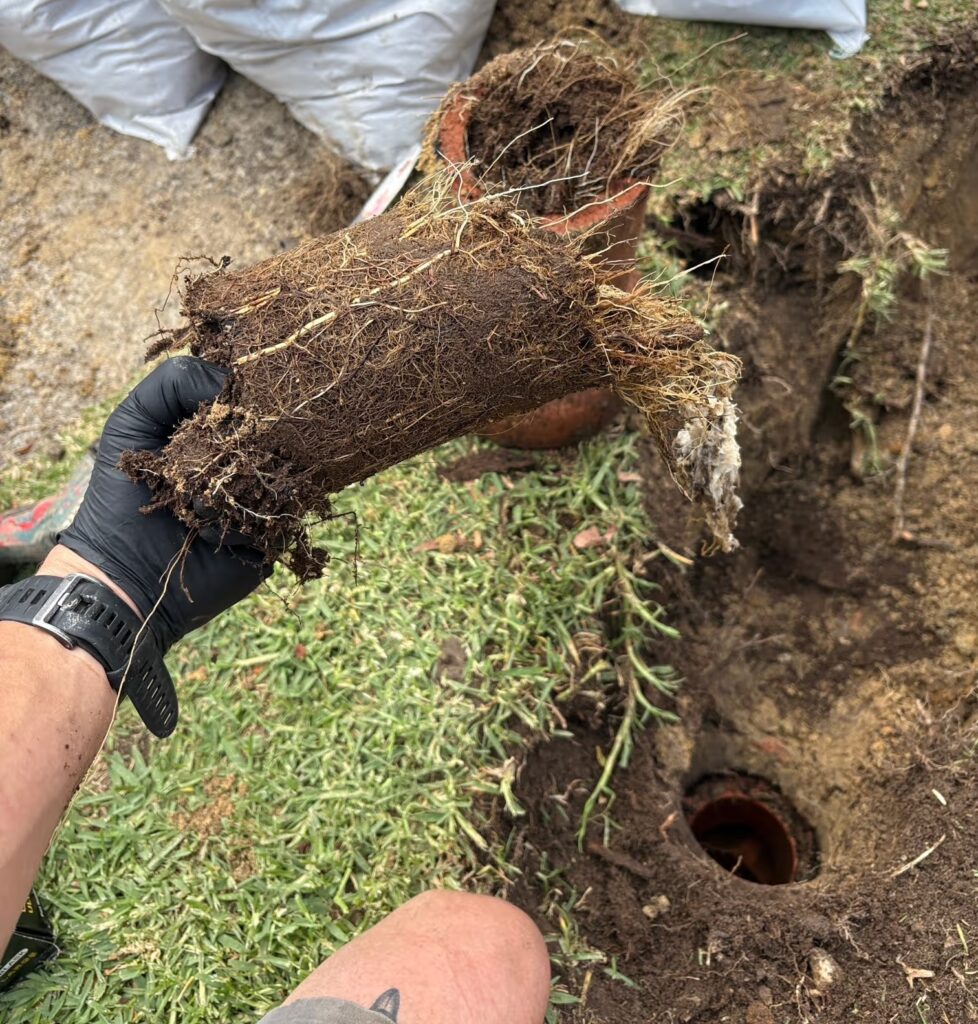 Platinum Plumbers fixing blocked drain - Sydney's Northern Beaches & North Shore.