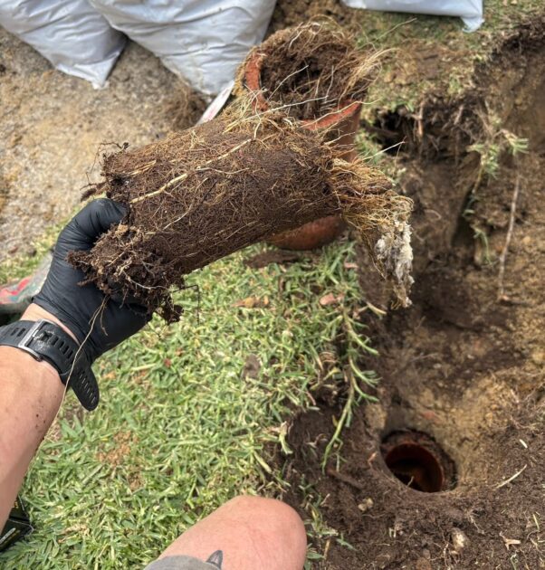 Platinum Plumbers fixing blocked drain - Sydney's Northern Beaches & North Shore.