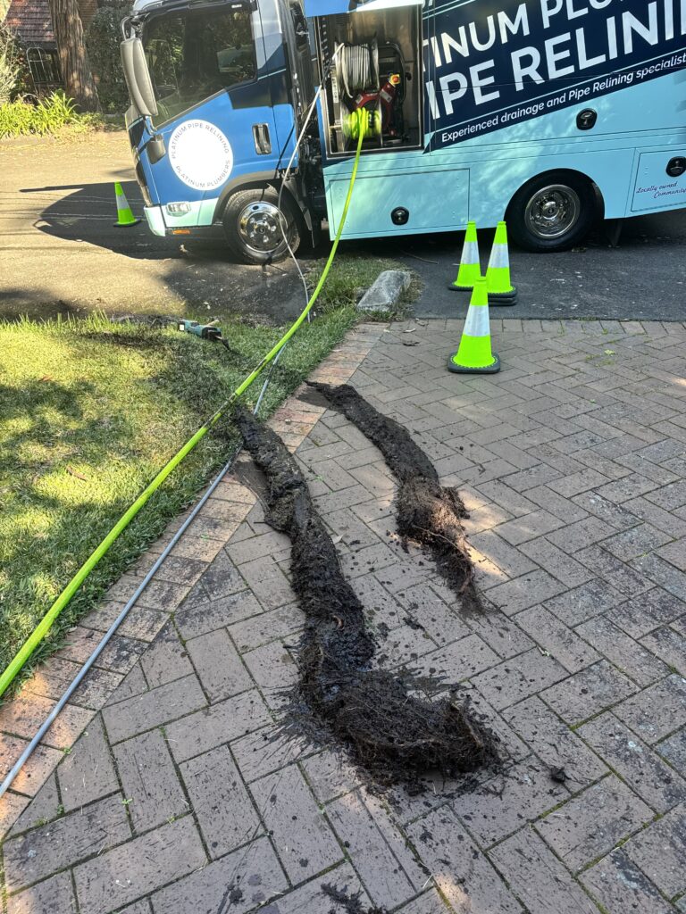 Major tree root blockage removed from Sydney stormwater drain.