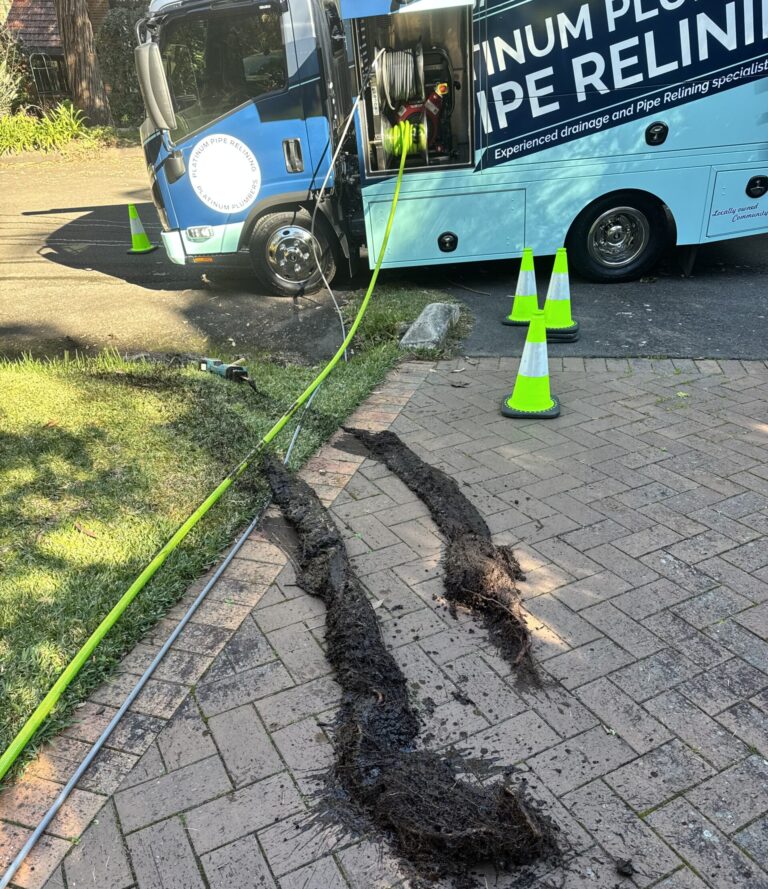 Major tree root blockage removed from North Shore Sydney stormwater drain.