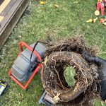 Blocked drain from tree roots in Freshwater