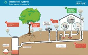 Wastewater systems
Smoke testing and how it works - Sydney Water